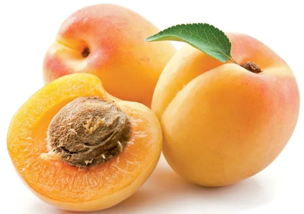 Apricot