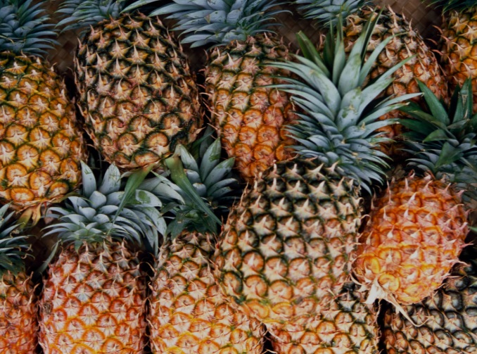 Pineapple