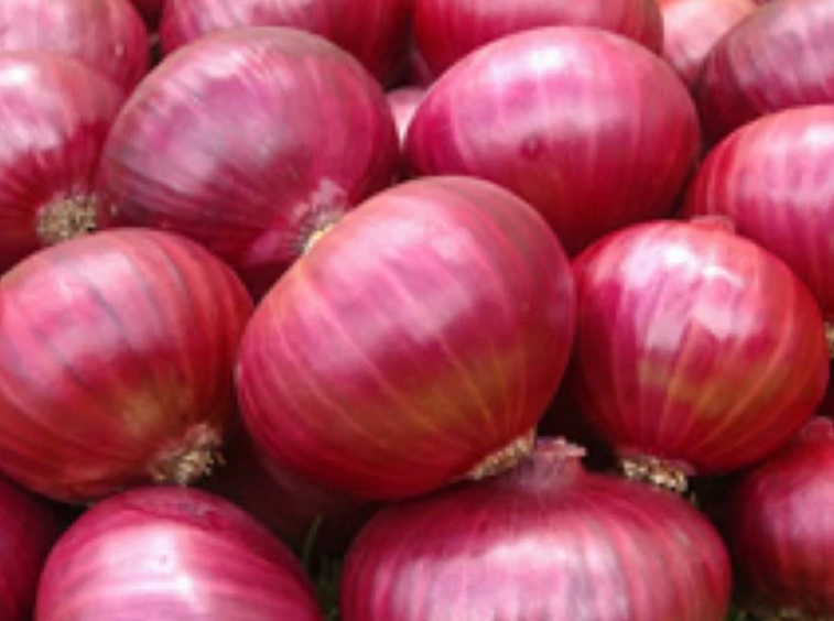 Onion