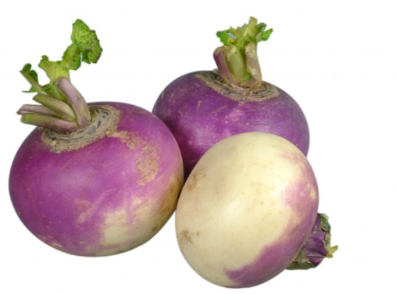 Turnip